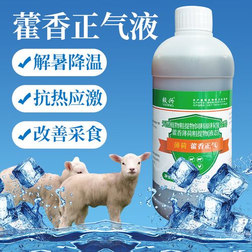 藿香正气液鸡鸭鹅鸽猪牛羊通用家禽夏日冰爽vc兽用饲料添加剂 500ml*1